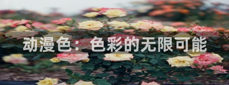 哈哩哈哩halihali17