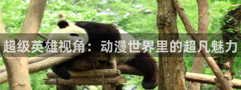 哈哩哈哩还是那个温馨小站