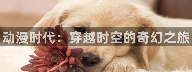 哈哩哈哩官网_halihali哈哩