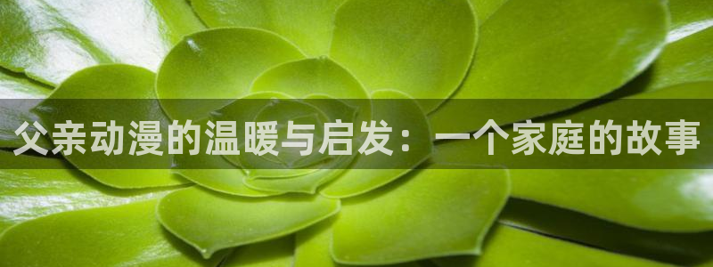 哈哩哈哩动漫在线观看免费